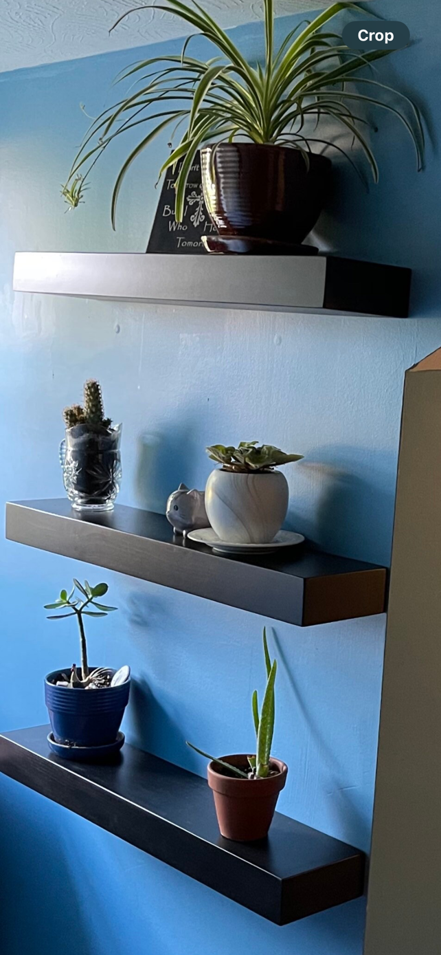 Floating Shelf