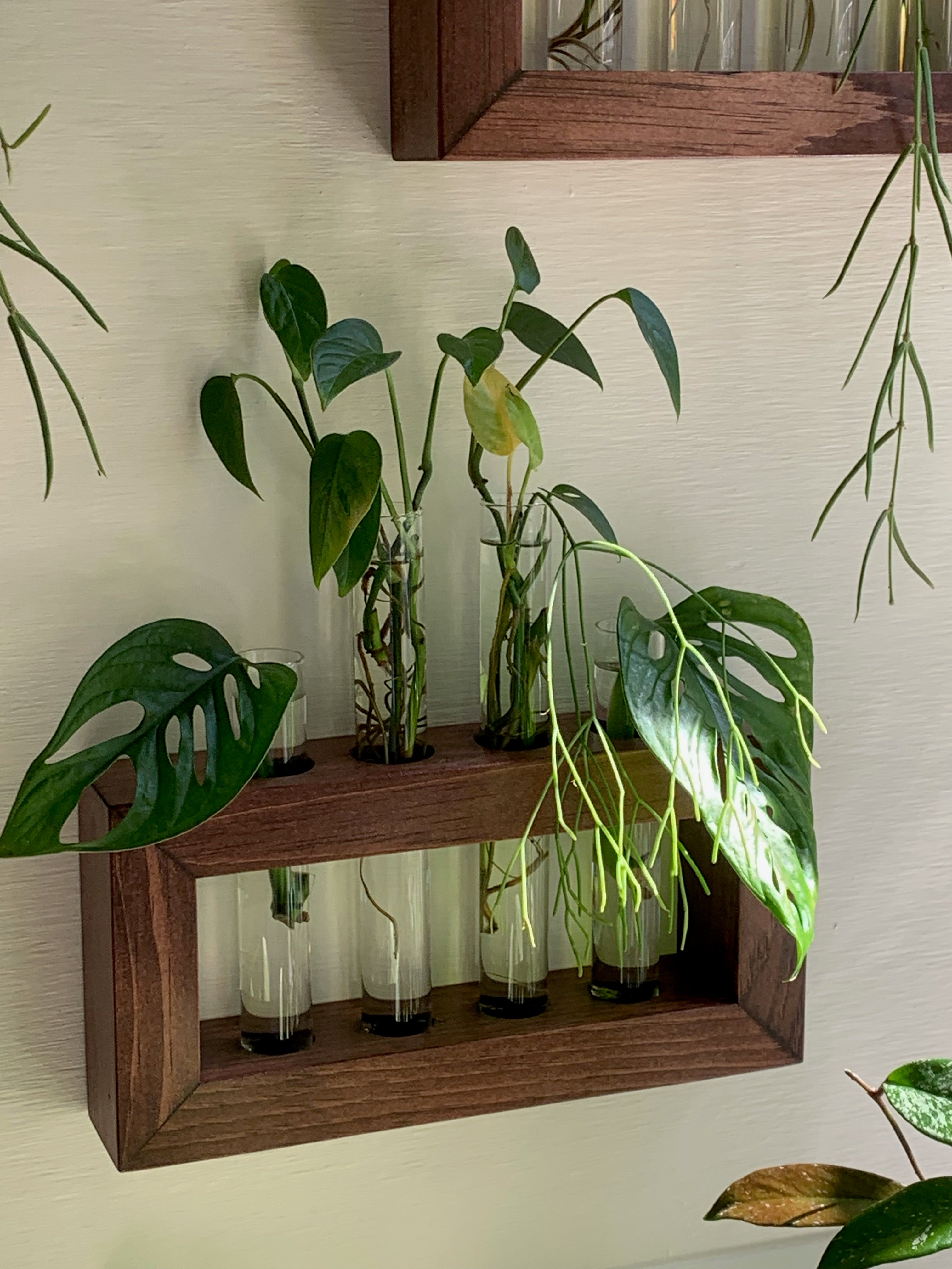 Wooden Propagation Station for Plants