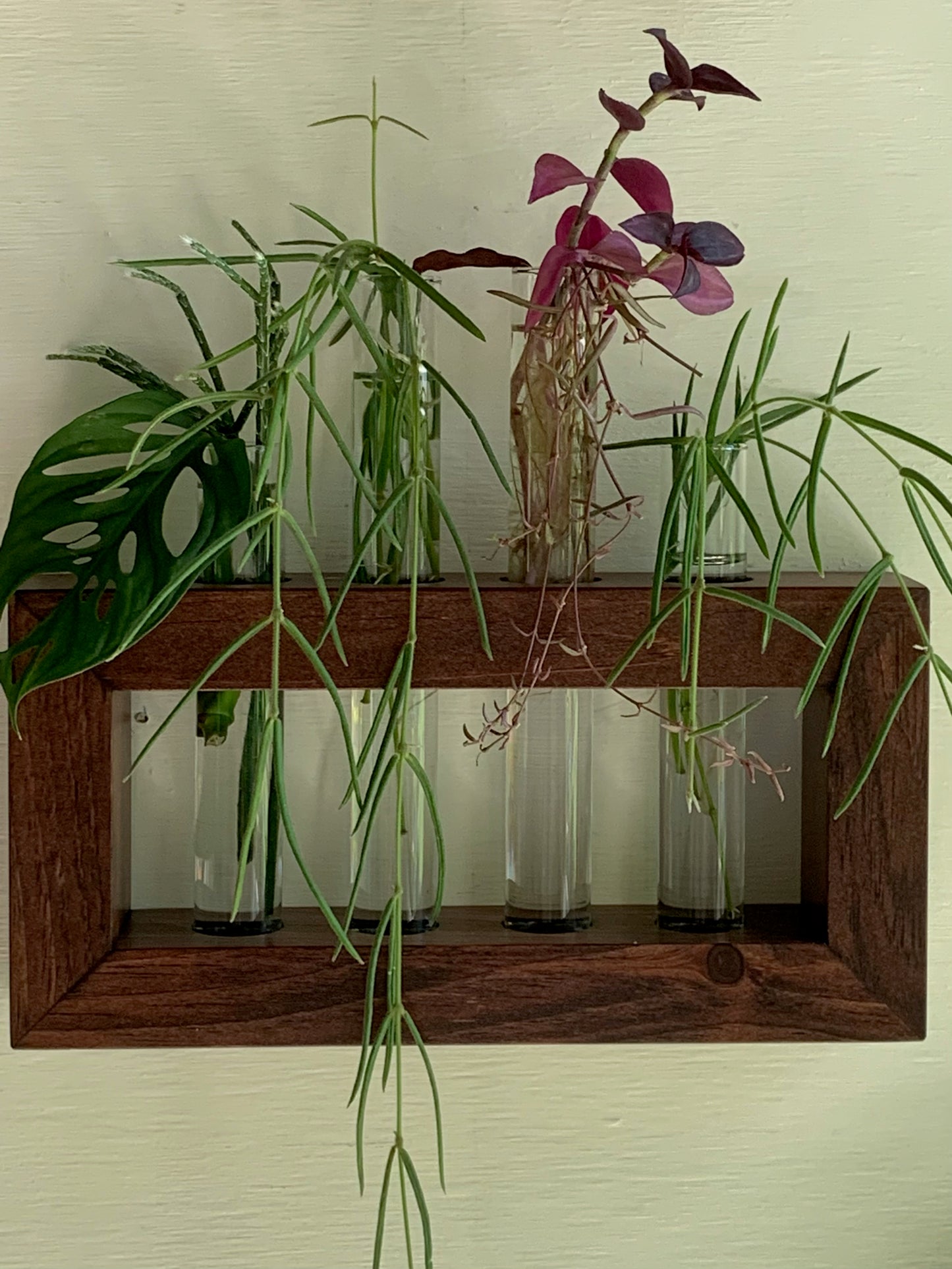 Wooden Propagation Station for Plants
