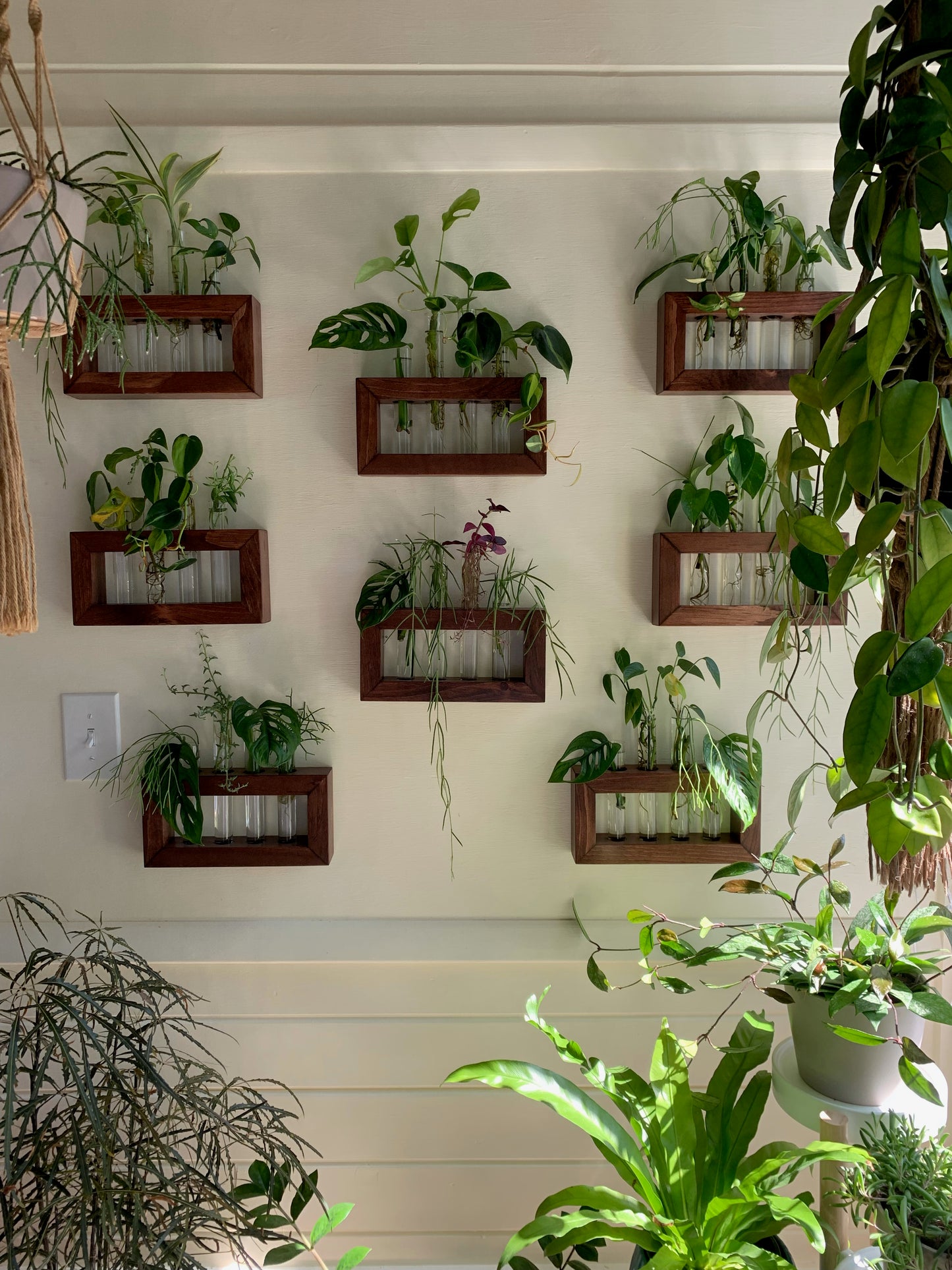Wooden Propagation Station for Plants